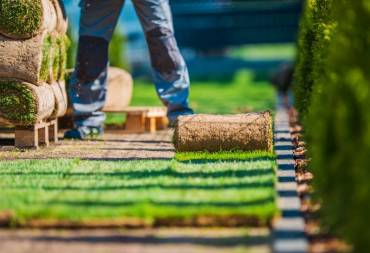 Turfing and Artificial Lawns